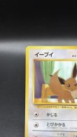 画像2: 【厳選素体】イーブイ（状態B） (2)