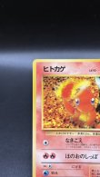 画像2: 【厳選素体】ヒトカゲ（状態B） (2)