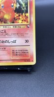 画像5: 【厳選素体】ヒトカゲ（状態B） (5)