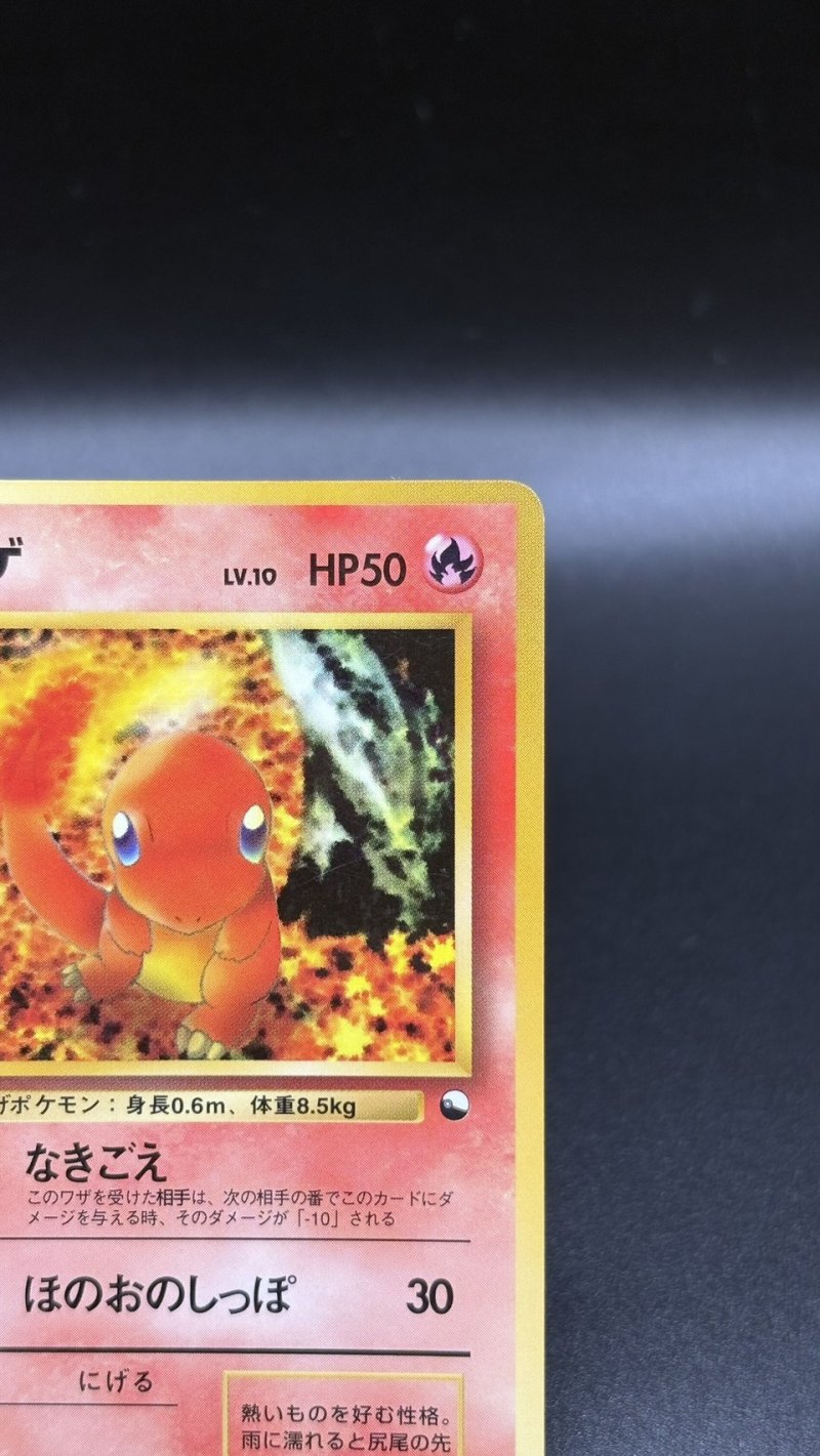 画像3: 【厳選素体】ヒトカゲ（状態B） (3)