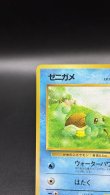 画像2: 【厳選素体】ゼニガメ（状態B） (2)