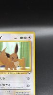 画像3: 【厳選素体】イーブイ（状態B） (3)