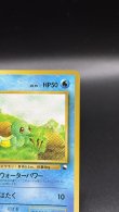 画像3: 【厳選素体】ゼニガメ（状態B） (3)