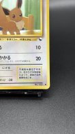 画像5: 【厳選素体】イーブイ（状態B） (5)