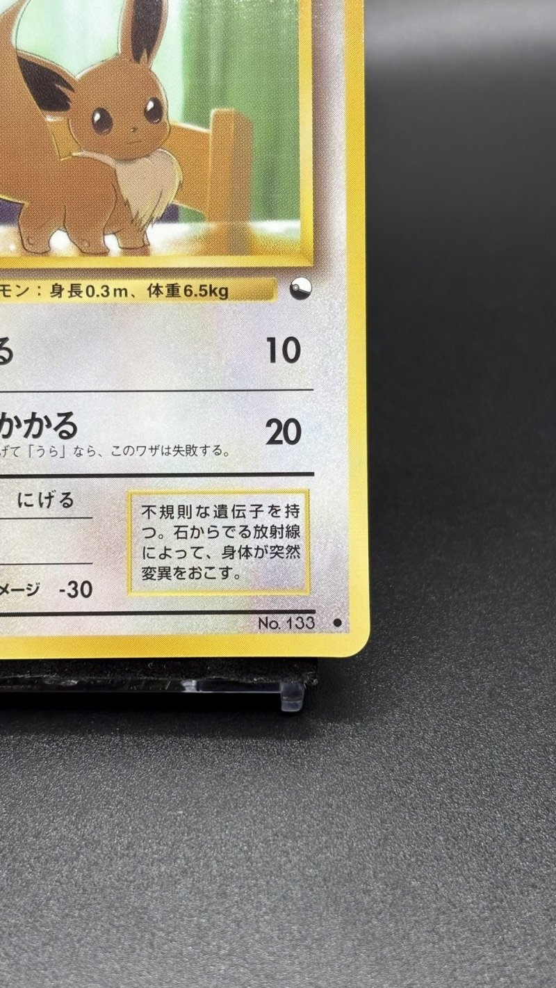画像5: 【厳選素体】イーブイ（状態B） (5)