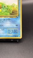 画像5: 【厳選素体】ゼニガメ（状態B） (5)