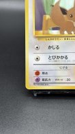 画像4: 【厳選素体】イーブイ（状態B） (4)