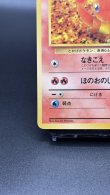 画像4: 【厳選素体】ヒトカゲ（状態B） (4)