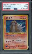 画像1: 【PSA2】エンテイ (1)