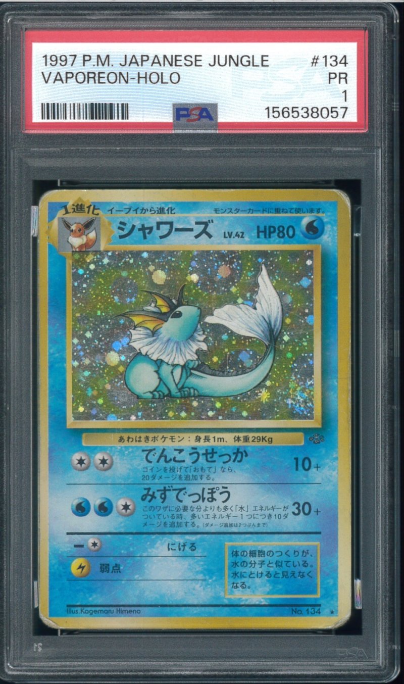 画像1: 【PSA1】シャワーズ (1)
