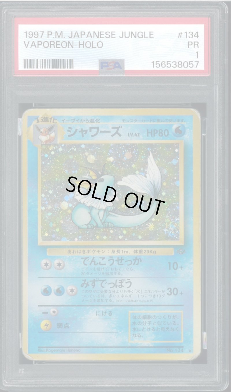 画像1: 【PSA1】シャワーズ (1)
