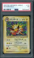 画像1: 【PSA1】サンダース (1)