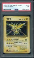 画像1: 【PSA1】サンダー (1)