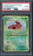 画像1: 【PSA2】レディバ (1)