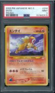 画像1: 【PSA9】エンテイ (1)