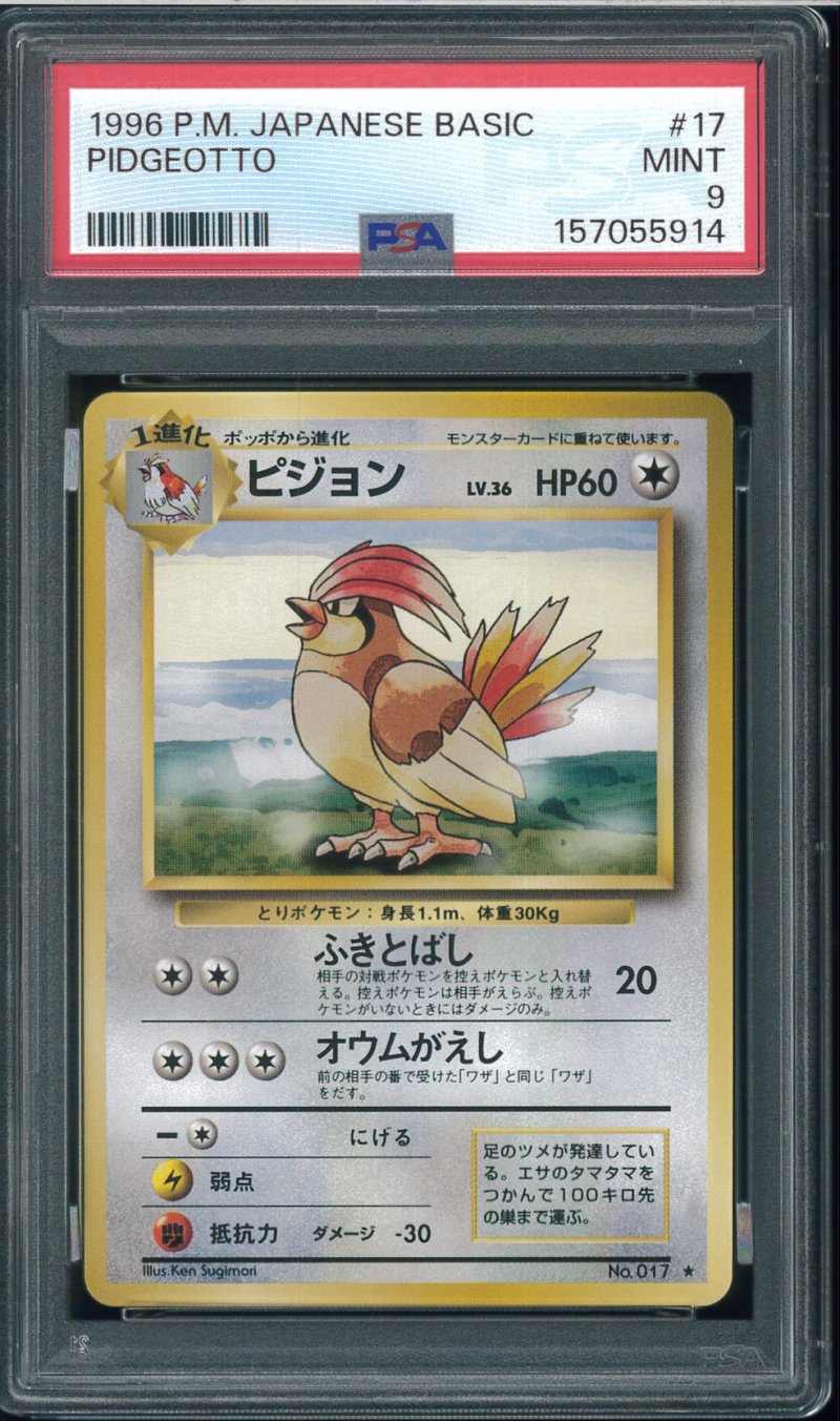 画像1: 【PSA9】ピジョン (1)