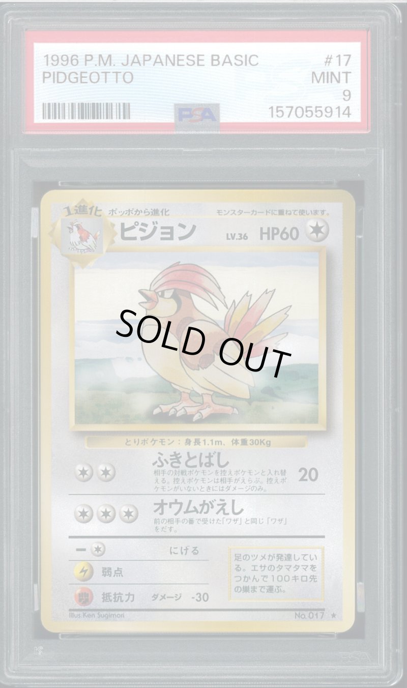 画像1: 【PSA9】ピジョン (1)