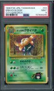 画像1: 【PSA9】エリカのクサイハナ (1)