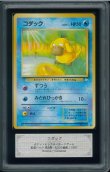 画像1: 【ARS10】コダック (1)