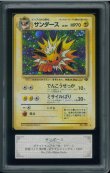 画像1: 【ARS10】サンダース (1)