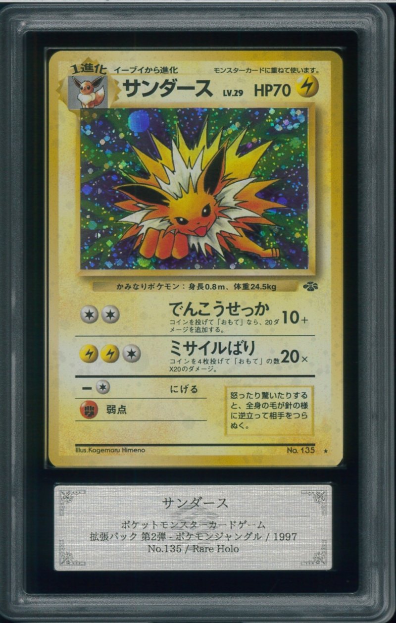 画像1: 【ARS10】サンダース (1)