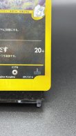 画像5: 【厳選素体】カリンのブラッキー（状態C） (5)