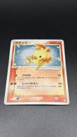 画像11: 【厳選素体】アチャモ ゴールドスター アンリミ（状態D） (11)