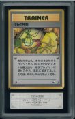画像1: 【ARS10】化石の発掘 (1)