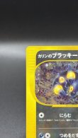 画像2: 【厳選素体】カリンのブラッキー（状態C） (2)
