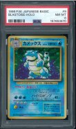 画像1: 【PSA8】カメックス (1)