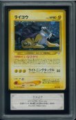 画像1: 【ARS10】ライコウ (1)