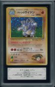 画像1: 【ARS10】タケシのサイドン (1)