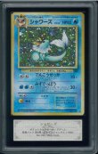 画像1: 【ARS10】シャワーズ (1)