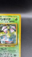 画像3: 【厳選素体】エリカのフシギバナ（状態B+） (3)