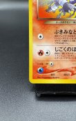 画像4: 【厳選素体】わるいヘルガー（状態B） (4)