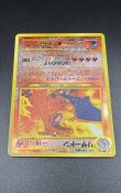 画像12: 【厳選素体】リザードン（状態B+） (12)