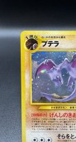 画像2: 【厳選素体】プテラ（状態B-） (2)