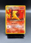 画像1: 【厳選素体】わるいバクフーン（状態B） (1)