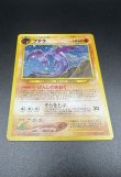 画像11: 【厳選素体】プテラ（状態B-） (11)