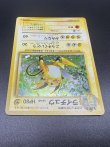 画像12: 【厳選素体】ライチュウ（状態B） (12)