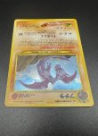 画像12: 【厳選素体】プテラ（状態B-） (12)