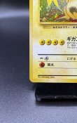 画像4: 【厳選素体】ライチュウ（状態B+） (4)