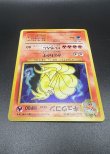 画像12: 【厳選素体】キュウコン（状態B-） (12)