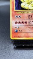画像4: 【厳選素体】キュウコン（状態B-） (4)