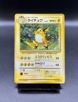 画像1: 【厳選素体】ライチュウ（状態B） (1)