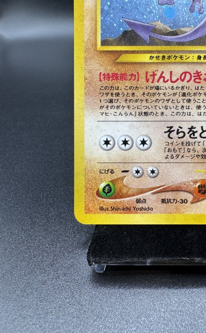 画像4: 【厳選素体】プテラ（状態B-） (4)