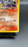 画像5: 【厳選素体】わるいヘルガー（状態B） (5)