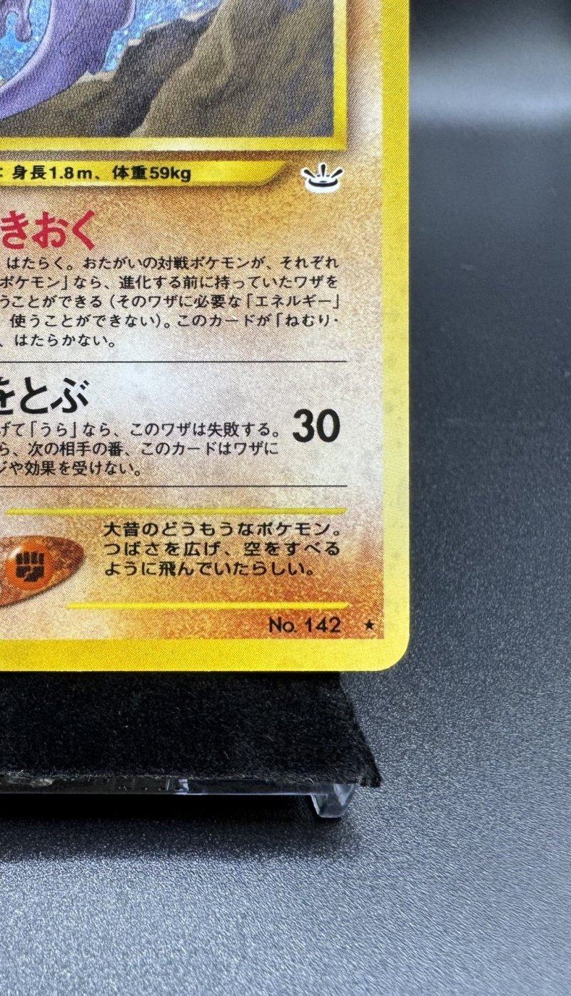 画像5: 【厳選素体】プテラ（状態B-） (5)
