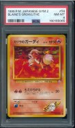 画像1: 【PSA8】カツラのガーディ (1)