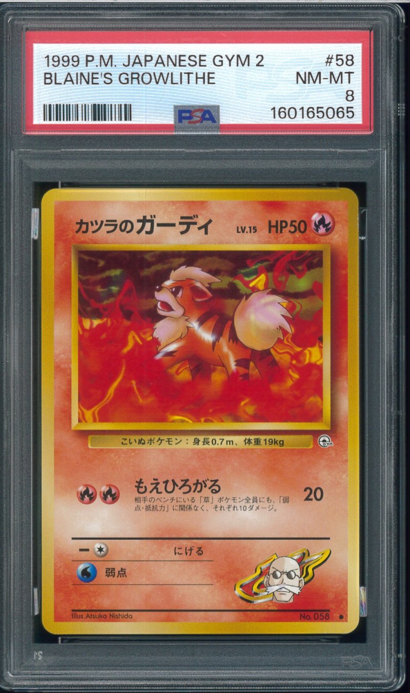 画像1: 【PSA8】カツラのガーディ (1)